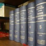 Employment law basics for startups