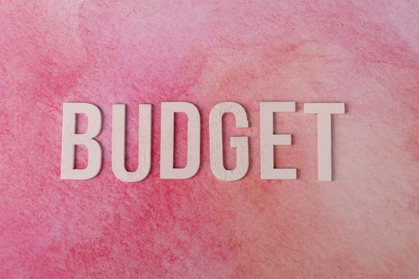capital expenditure budget